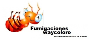 FUMIGACIONES EN SANTA FE CDMX