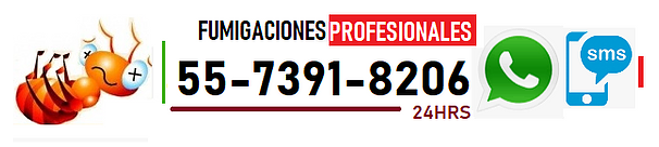 FUMIGADORES TELEFONO