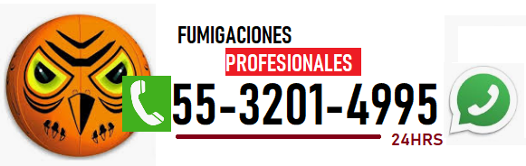 llamanos